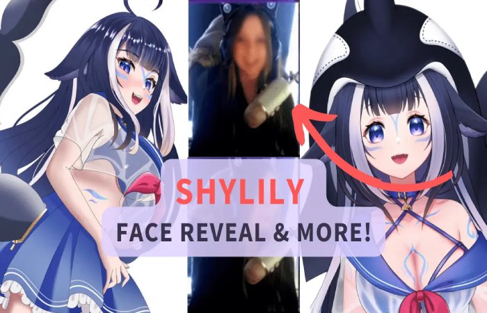 Who Is Twitch Star Shylily Whats Her Real Identity
